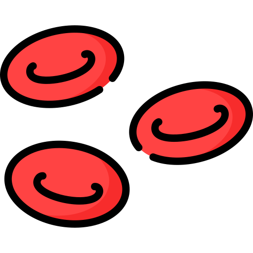 Blood Cells Detection and Classification